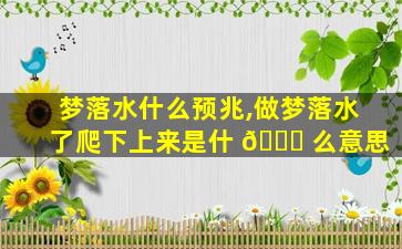 梦落水什么预兆,做梦落水了爬下上来是什 🐛 么意思